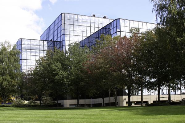 Commercial Tree Trimming in Bentonville